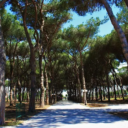 Hotel La Pineta Dei Liberti Lido dei Pini